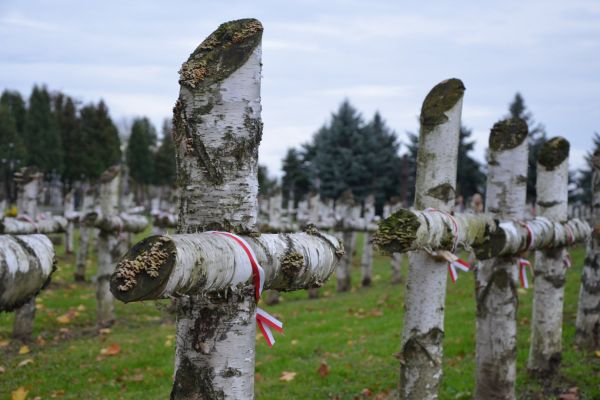 Znicze na Lwowskie Cmentarze 2018